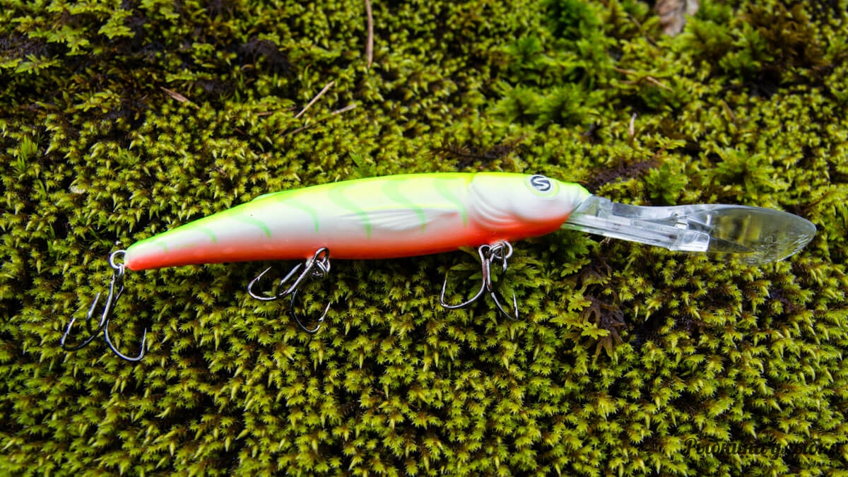Salmo Freediver