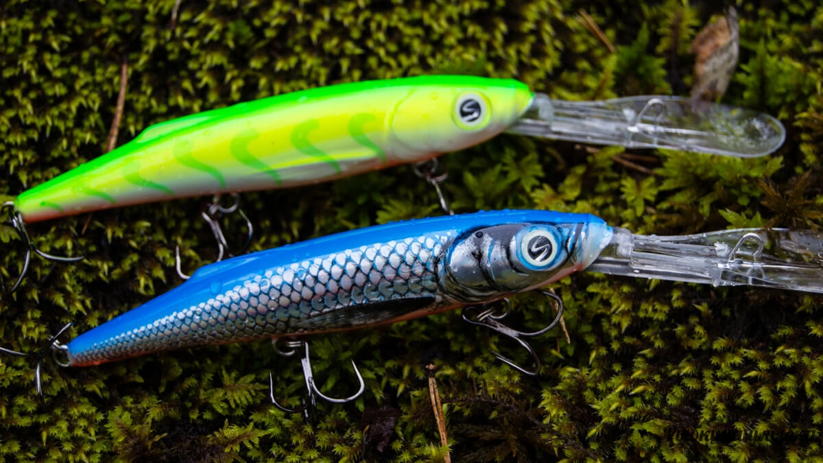 Salmo Freediver