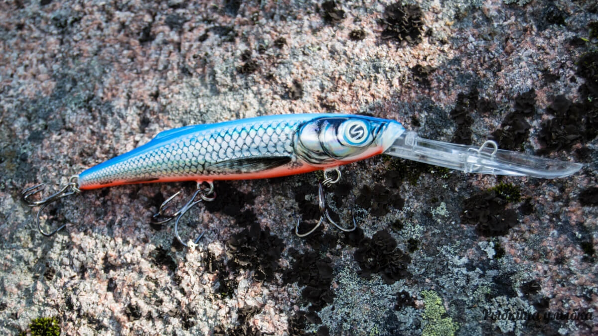 Salmo Freediver